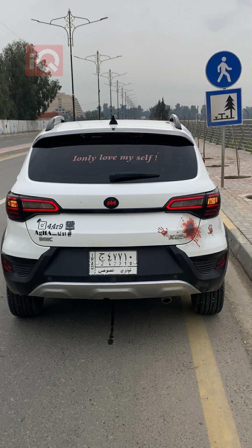 BAIC X25
